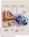 Understanding ototoxicity risks for pediatric oncology patients