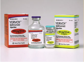Ipilimumab (Yervoy)