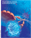 CIPN: Treatment preservation and prevention are the goals