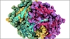 Should a test dose of bleomycin be given If yes, when