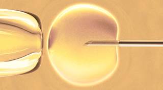 Fertility preservation talks are more direct for men than for women Fertility preservation talks are more direct for men than for women