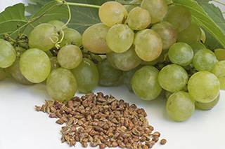 Grape seed promising against colon cancer Grape seed promising against colon cancer