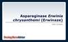 Asparaginase erwinia chrysanthemi (Erwinaze) Asparaginase erwinia chrysanthemi (Erwinaze)
