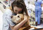 Animal assisted therapy enhances cancer care Animal assisted therapy enhances cancer care