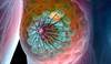 Navigating the tempest over breast cancer screening Navigating the tempest over breast cancer screening