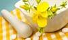 Understanding the interaction between food and treatment Understanding the interaction between food and treatment