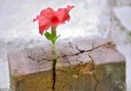 Integrating spiritual care as part of comprehensive cancer treatment Integrating spiritual care as part of comprehensive cancer treatment