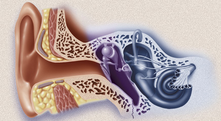 Ototoxicity Symptoms