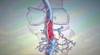 Using anticoagulants to treat chemotherapy-related VTE Using anticoagulants to treat chemotherapy-related VTE