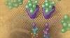 Multidrug approach fights resistance Multidrug approach fights resistance