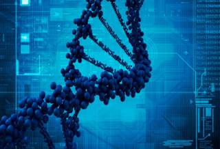 Major study links two new genetic variants to breast cancer Major study links two new genetic variants to breast cancer