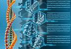 Decipher Genomic Classifier Prognostic for Distant Prostate Metastasis Decipher Genomic Classifier Prognostic for Distant Prostate Metastasis