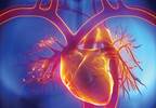 A survivorship dilemma: The impact of cancer treatment on cardiovascular risk factors A survivorship dilemma: The impact of cancer treatment on cardiovascular risk factors