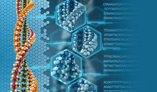 Genomic differences in breast cancers in African American women identified Genomic differences in breast cancers in African American women identified