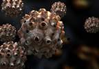 Persistent HPV16 in Oral Rinses Signals Poor Prognosis for HPV-Positive Oropharyngeal Carcinoma Persistent HPV16 in Oral Rinses Signals Poor Prognosis for HPV-Positive Oropharyngeal Carcinoma