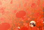 Treating low immunoglobulin levels Treating low immunoglobulin levels