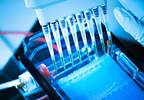 BRCA1/2 Testing Recommendations Vary Between Black and White Patients BRCA1/2 Testing Recommendations Vary Between Black and White Patients