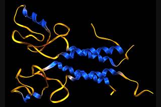 The Personal Genome Service Genetic Health Risk Report is designed to test for particular BRCA1/2 variants. The Personal Genome Service Genetic Health Risk Report is designed to test for particular BRCA1/2 variants.