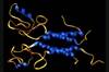 Direct-to-Consumer Genetic Test for Select <i>BRCA</i> Mutations Gets FDA Nod Direct-to-Consumer Genetic Test for Select <i>BRCA</i> Mutations Gets FDA Nod