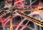 Managing peripheral neuropathy related to vincristine Managing peripheral neuropathy related to vincristine