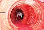 Educational Walk Through Colon Promotes Colorectal Cancer Screening Educational Walk Through Colon Promotes Colorectal Cancer Screening