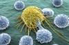Navigating the Benefits and Challenges of Immunotherapy Navigating the Benefits and Challenges of Immunotherapy