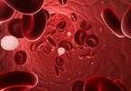 New drug shows sustained benefit at 2 years in rare blood cancer New drug shows sustained benefit at 2 years in rare blood cancer