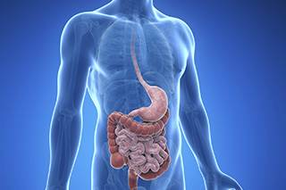 Low vitamin D linked to increased cancer risk in IBD Low vitamin D linked to increased cancer risk in IBD