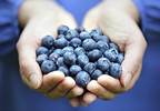 Antioxidants and Cancer Prevention (Fact Sheet) Antioxidants and Cancer Prevention (Fact Sheet)