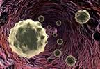 New G-CSF approved in Europe, in clinical trials in the U.S. New G-CSF approved in Europe, in clinical trials in the U.S.