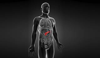 For advanced pancreatic cancer, simtuzumab not significantly more effective than placebo For advanced pancreatic cancer, simtuzumab not significantly more effective than placebo