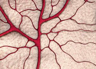 Women receiving chemotherapy for breast cancer have a clinical important risk for developing venous thromboemboli (VTE). Women receiving chemotherapy for breast cancer have a clinical important risk for developing venous thromboemboli (VTE).