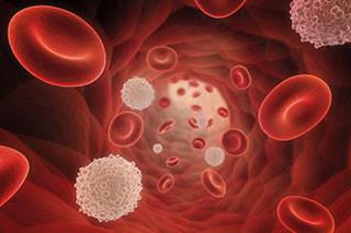 Thalidomide plus bortezomib appears to extend median progression-free survival in MM. Thalidomide plus bortezomib appears to extend median progression-free survival in MM.