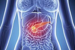 New study suggests why pancreatic cancer is so aggressive New study suggests why pancreatic cancer is so aggressive