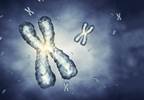 Sarcoma patients' significant symptom burden negatively impacts quality of life Sarcoma patients' significant symptom burden negatively impacts quality of life