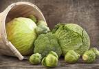 Cruciferous Vegetables and Cancer Prevention (Fact Sheet) Cruciferous Vegetables and Cancer Prevention (Fact Sheet)