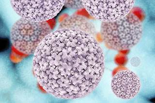 HPV HPV