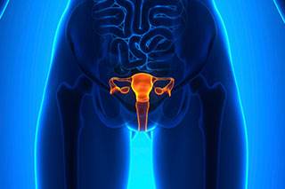 A new therapeutic target for a particularly aggressive form of ovarian cancer has been found. A new therapeutic target for a particularly aggressive form of ovarian cancer has been found.