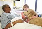Animal-assisted therapy benefits adult cancer patients Animal-assisted therapy benefits adult cancer patients