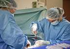 Multidisciplinary Bone Marrow Program Prepares Nurses for Aspirations, Biopsies Multidisciplinary Bone Marrow Program Prepares Nurses for Aspirations, Biopsies