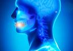 Elective Neck Dissection Recommended Standard of Care for Early Oral Cancer Elective Neck Dissection Recommended Standard of Care for Early Oral Cancer