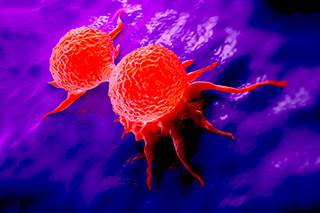 Genomic Features Predictive of Response to Trastuzumab-Containing Therapy Genomic Features Predictive of Response to Trastuzumab-Containing Therapy