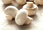 Mushroom powder may have potential for prostate cancer treatment Mushroom powder may have potential for prostate cancer treatment