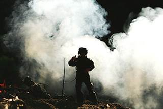 Agent Orange was widely used during the Vietnam War. Agent Orange was widely used during the Vietnam War.