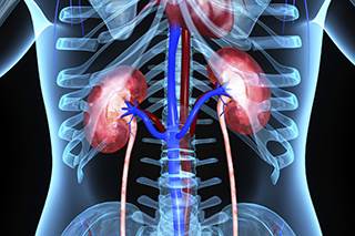 Biomarkers Predict Response to TKI Therapy for Metastatic Renal Cell Carcinoma Biomarkers Predict Response to TKI Therapy for Metastatic Renal Cell Carcinoma