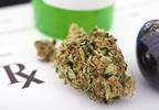 Data Lacks Support for Anticancer Activity of Cannabis Data Lacks Support for Anticancer Activity of Cannabis