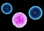Antibiotic Prophylaxis During Induction Phase Reduces Infections in Pediatric ALL Antibiotic Prophylaxis During Induction Phase Reduces Infections in Pediatric ALL