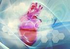 Risk for Fatal Cardiovascular Events Not Increased in Patients With Breast Cancer Taking Aromatase Inhibitors Risk for Fatal Cardiovascular Events Not Increased in Patients With Breast Cancer Taking Aromatase Inhibitors