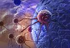 Pill Improves Breast Imaging to Light Up Cancer Pill Improves Breast Imaging to Light Up Cancer