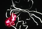 New Mechanism to Target RAS Genes Identified New Mechanism to Target RAS Genes Identified